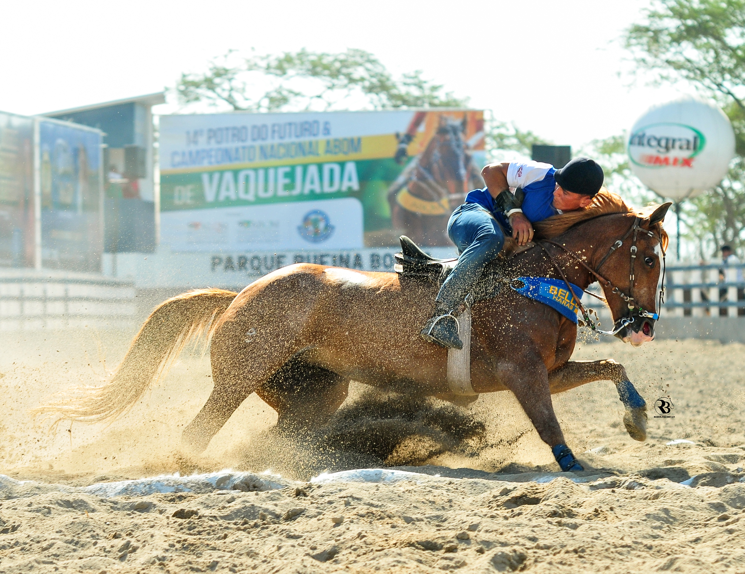 Vaquejada em 2023  Fotos de cavalos, Égua quarto de milha, Imagens de  vaqueiro