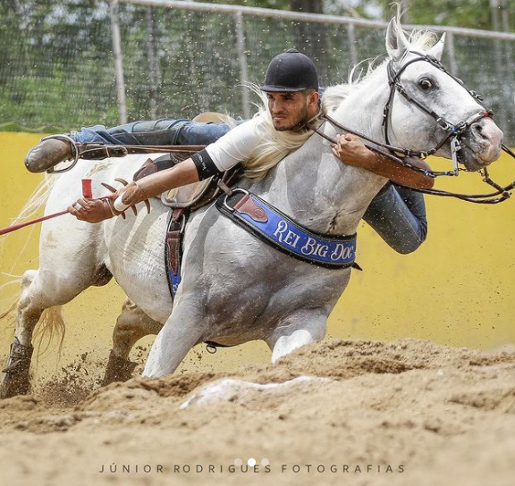 Portal Vaquejada - Rei Big Doc dispara e assume a liderança na categoria  Profissional como cavalo de puxar no CPV 2022